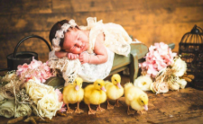 Sleeping baby in a white bonnet on a green bench, surrounded by yellow ducklings and pink flowers
