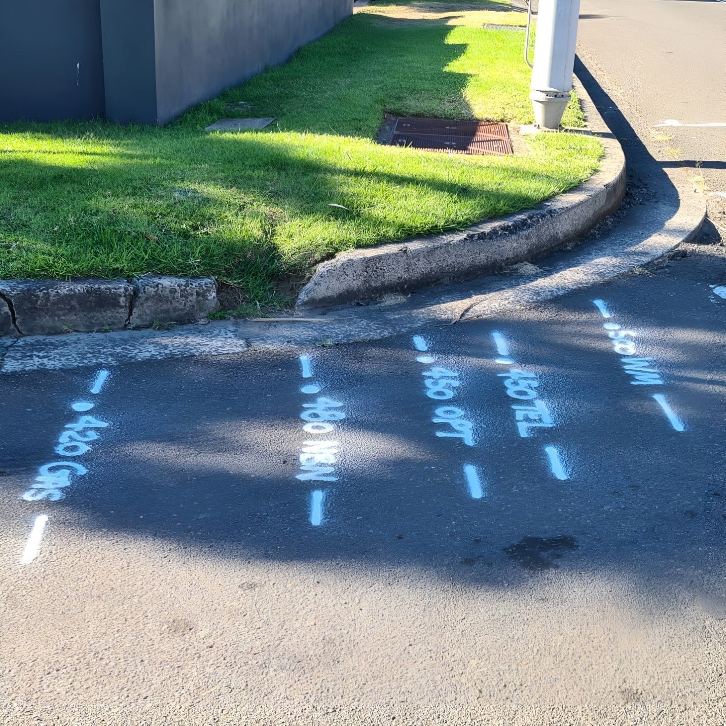 Asphalt with white spray paint markings: +550 GNS, +480 MEN, +450 OPT, +550 HAI. Green grass, curb, building corner.
