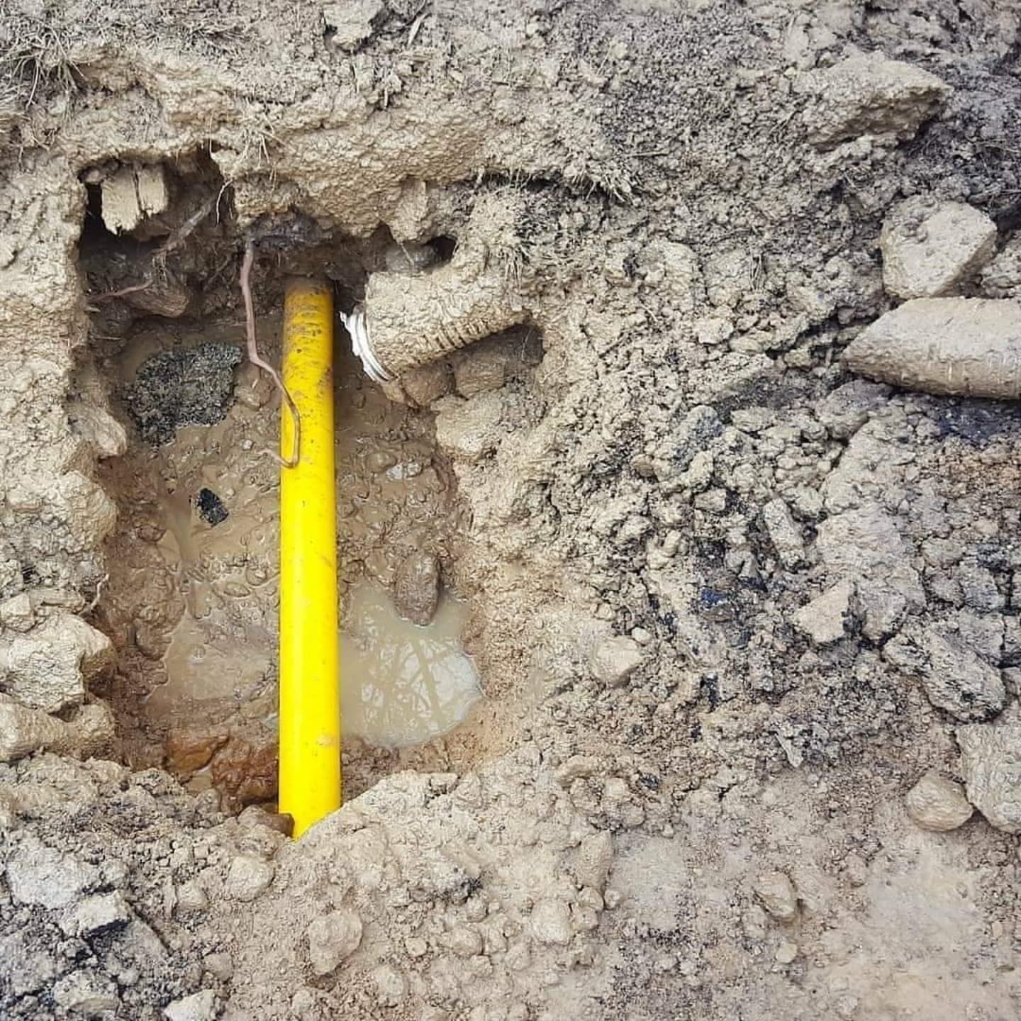 Yellow gas line exposed in a dirt hole.