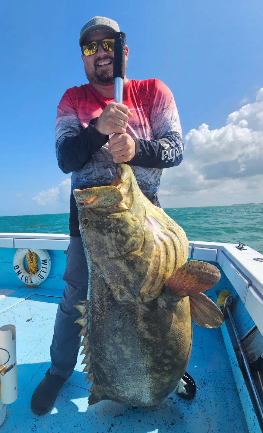 goliath grouper Florida