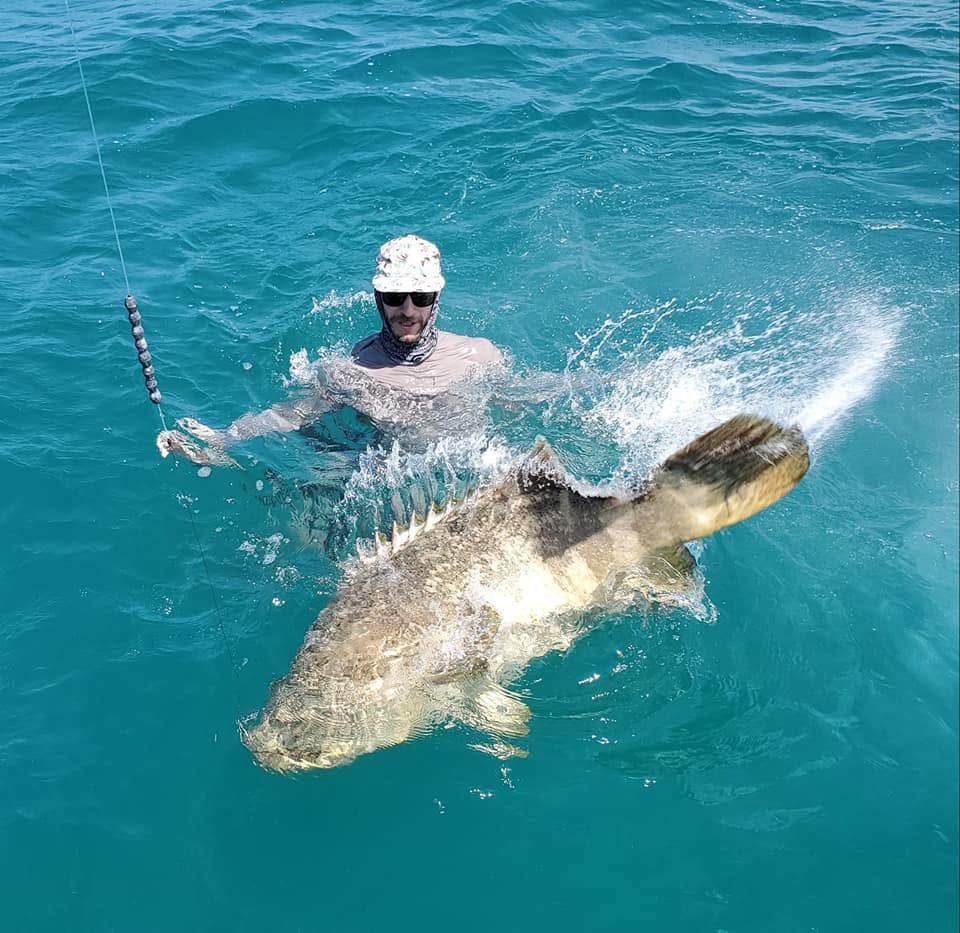 Goliath Grouper Fishing Charter