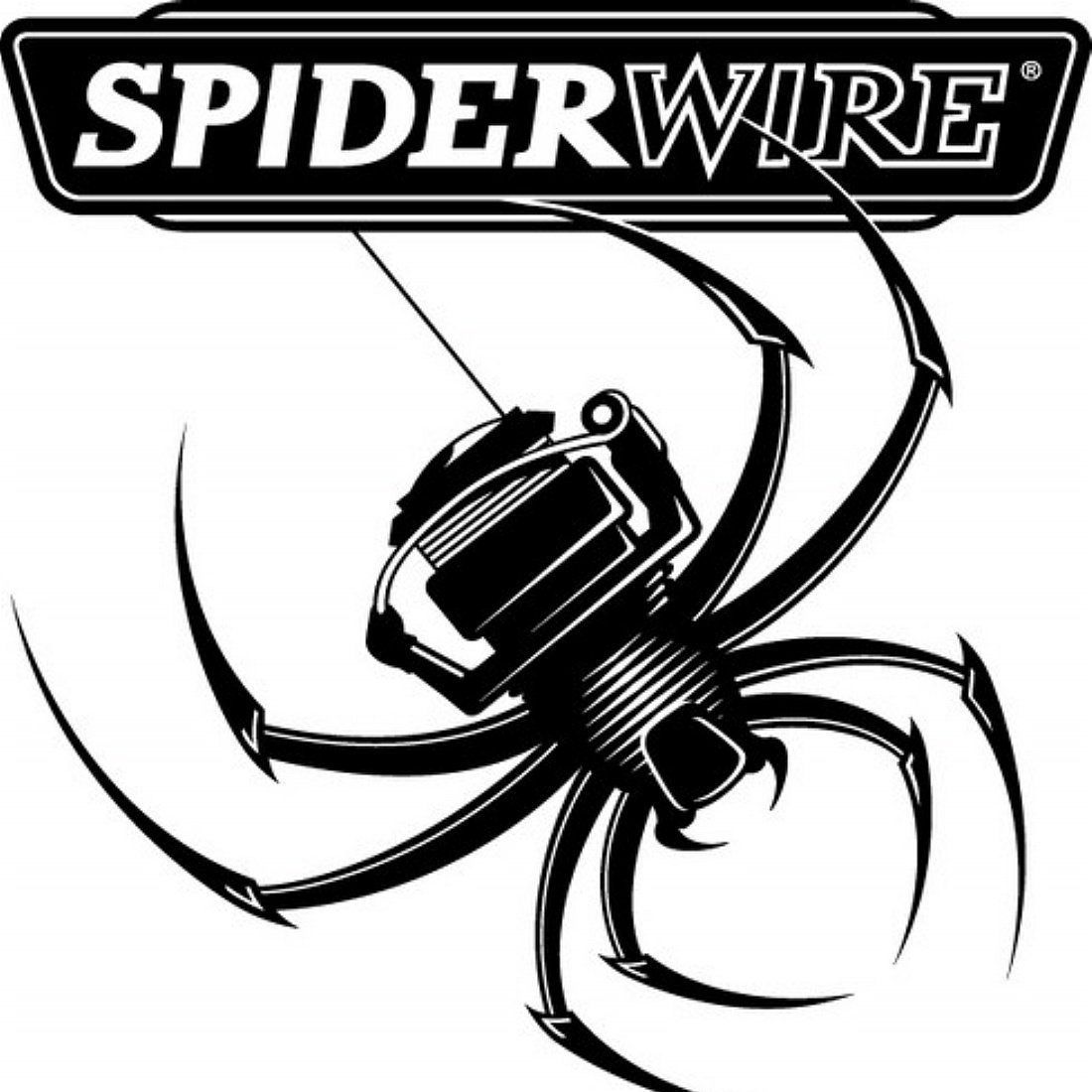 Spiderwire fishing line