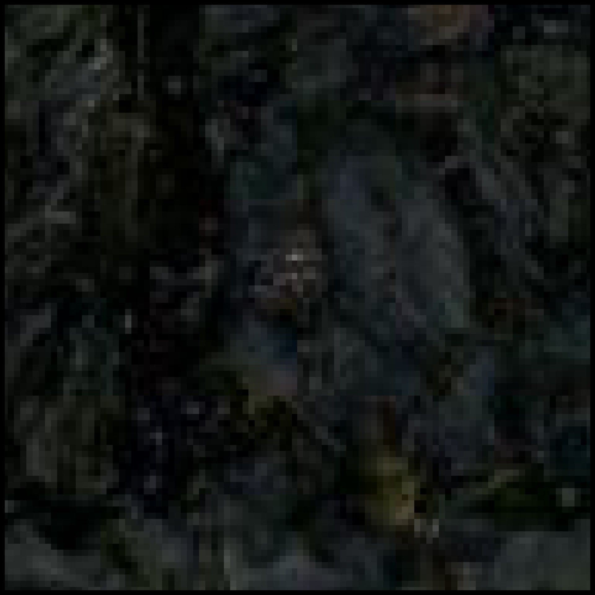 A blurry picture of a dark forest with trees in the background.