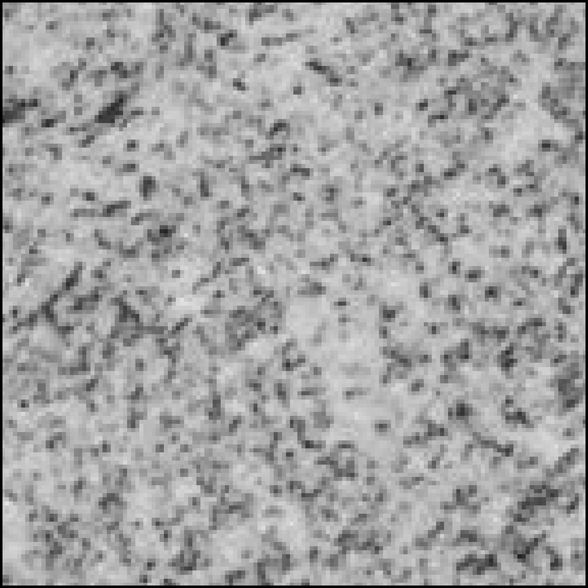 A black and white photo of a marble texture.