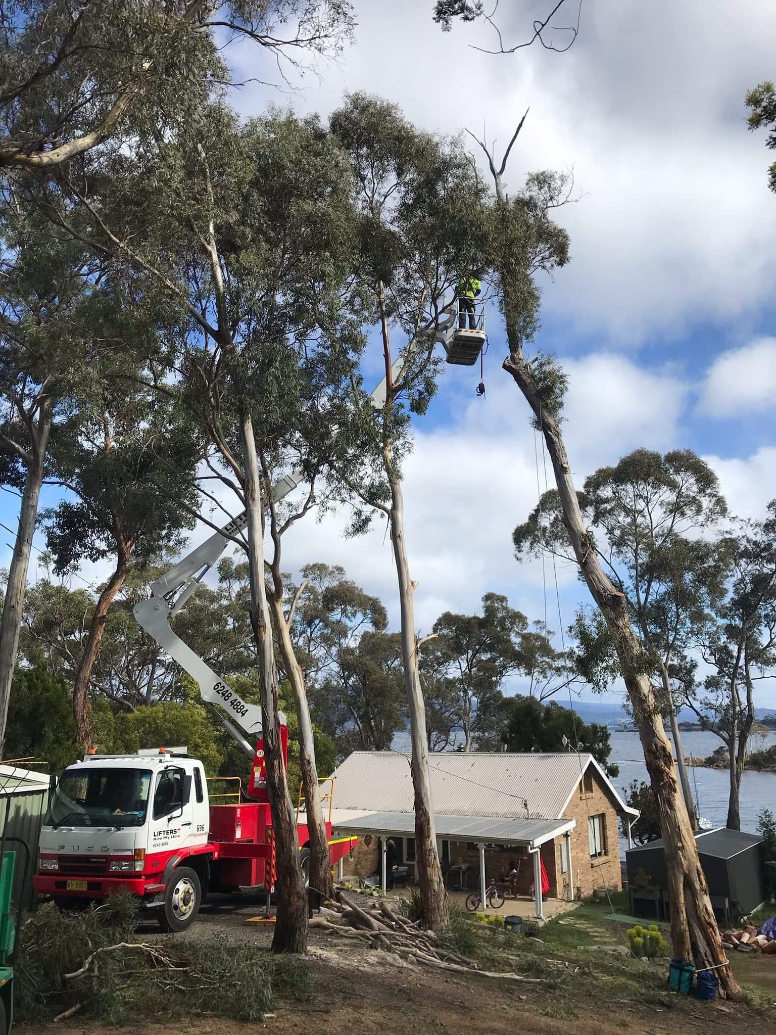 Worker in a Red Truck Cutting Tall Trees Beside a Small House Under a Blue Sky — Lifters Hire in Cambridge, TAS