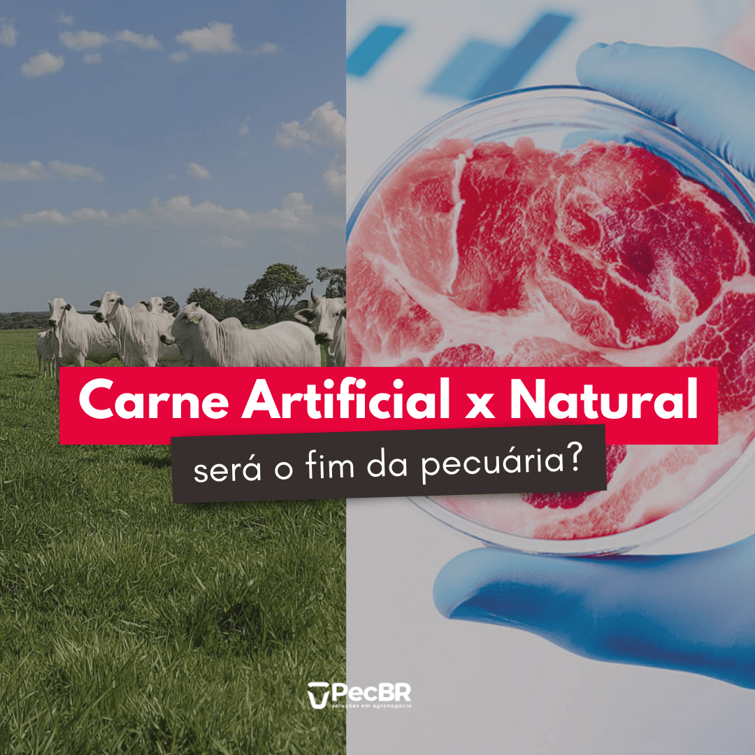 Carne artificial