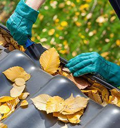 About us — Leaf Protection Guard in Port Macquarie, NSW