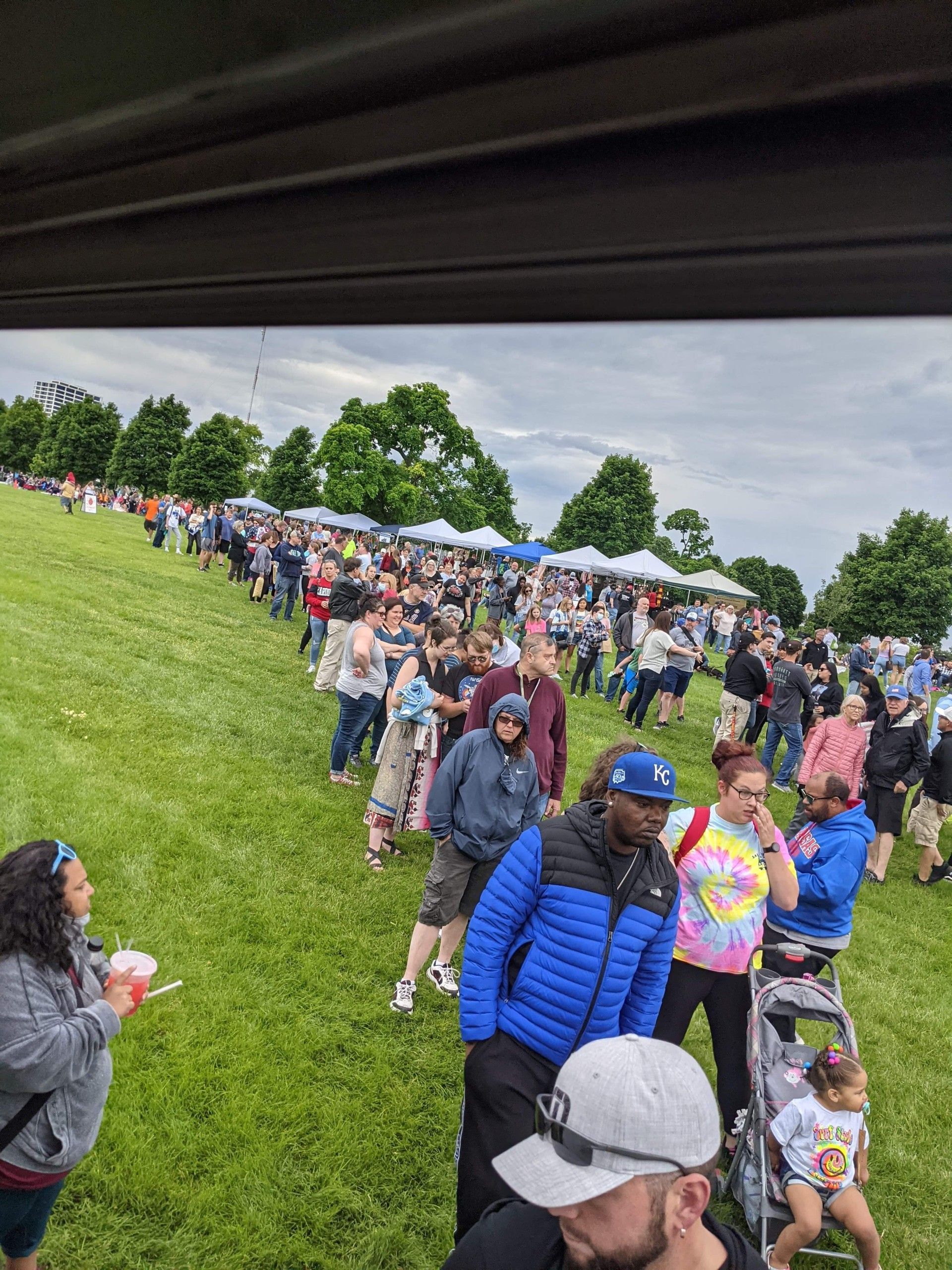 A large group of people are standing in a grassy field.