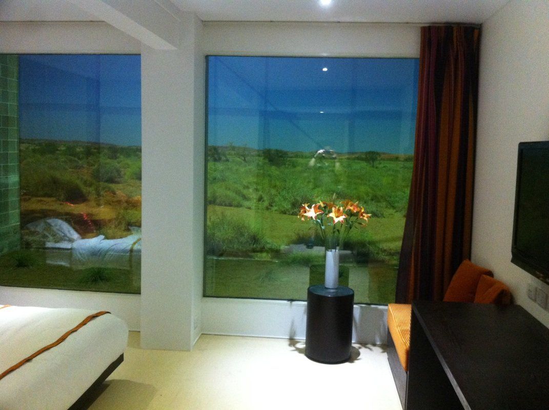 Room with large windows overlooking a landscape scene. Includes a bed, flowers, curtains, and a television.