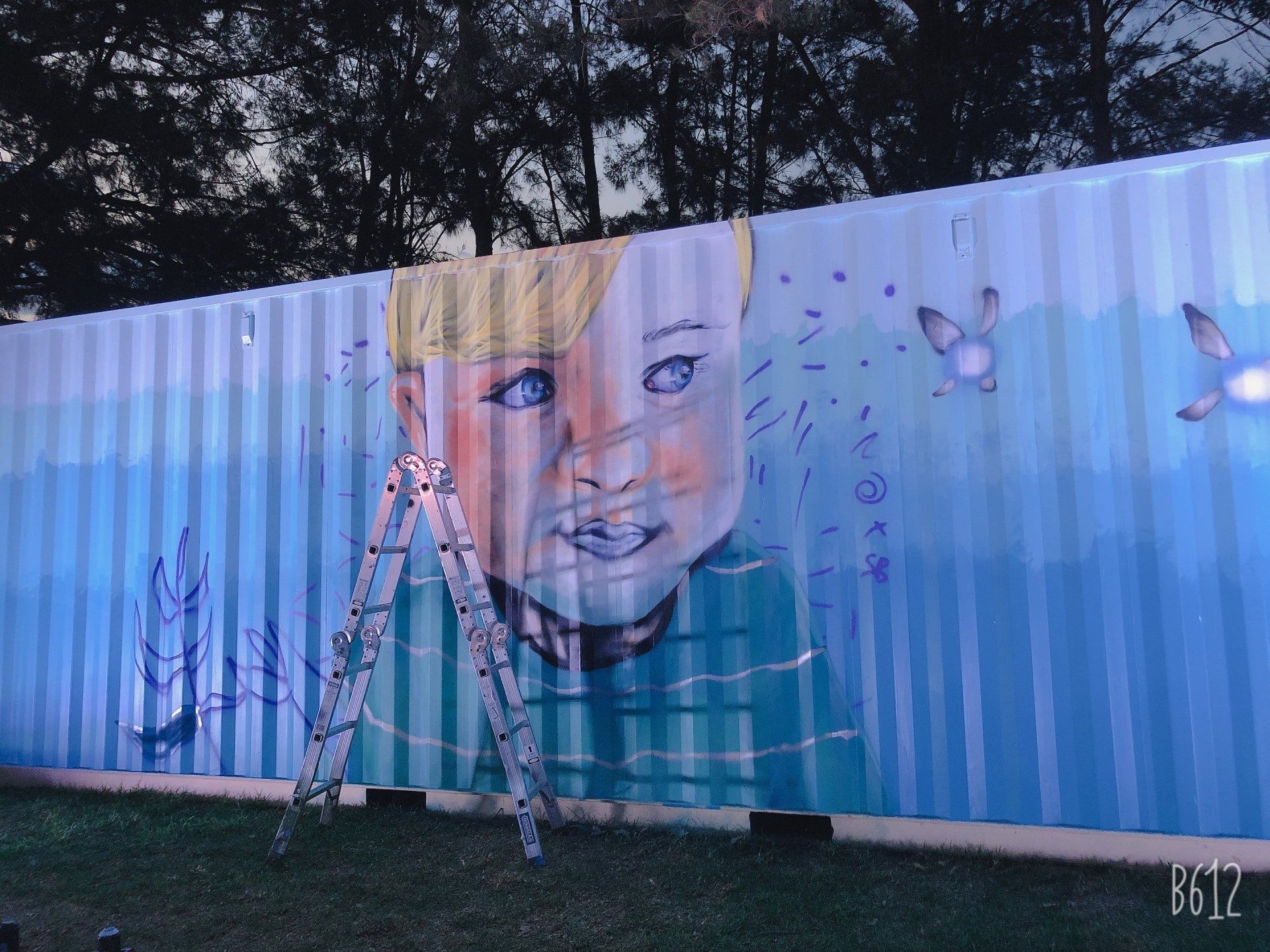 Mural of a child's face on a blue wall. A ladder leans in front. Butterflies and foliage are painted nearby.