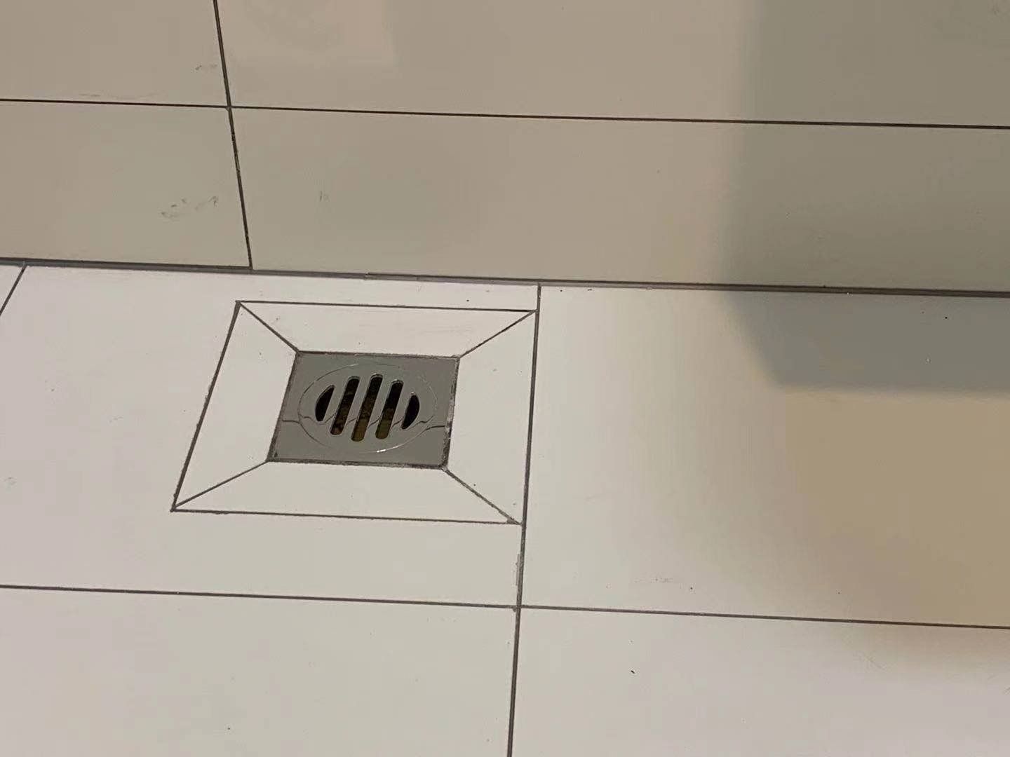 Shower floor with a central drain, surrounded by white tiles and dark grout lines.