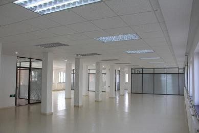 Bright, empty office interior with white walls, columns, and ceiling lights, glass-walled rooms.