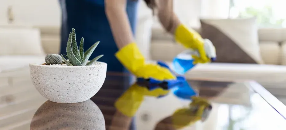 deep cleaning vs regular cleaning in south jersey