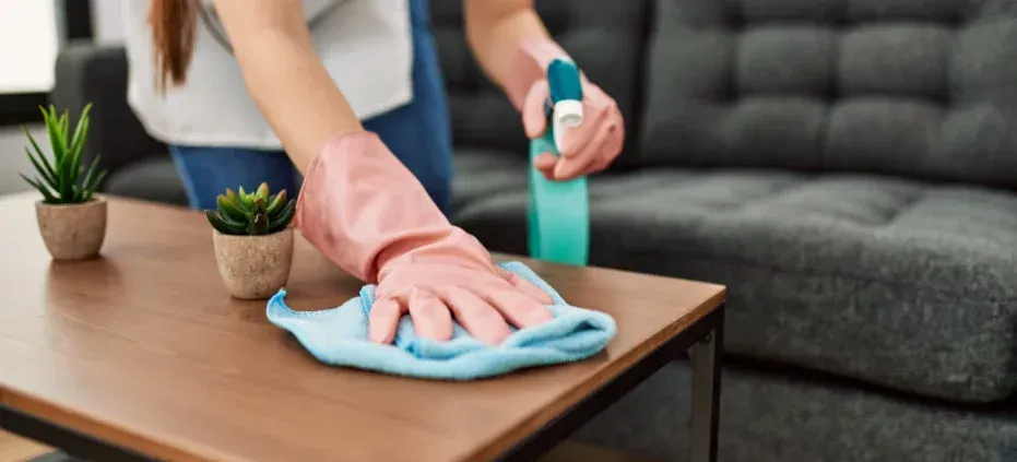 move-out cleaning experts for south jersey