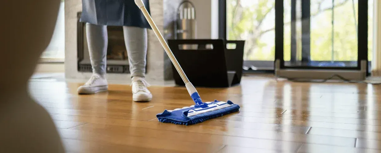professional house cleaners South Jersey