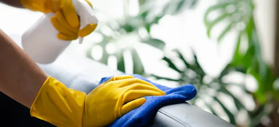 recurring cleaning schedule south jersey