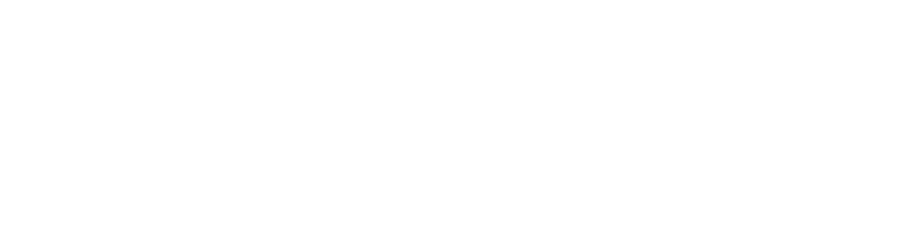 A nearly blank white image with a thin black horizontal line near the center and a blue bar along the bottom.