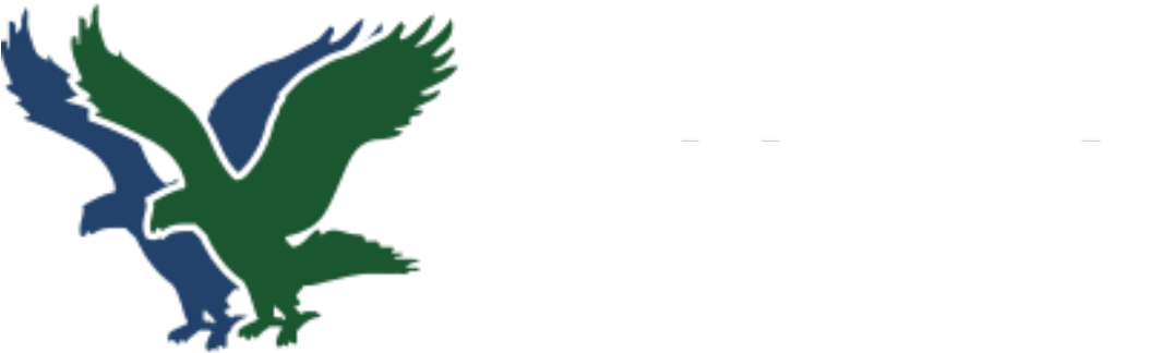 Double Eagle Insurance logo