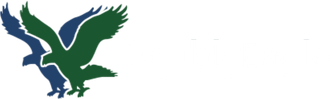 Double Eagle Insurance logo