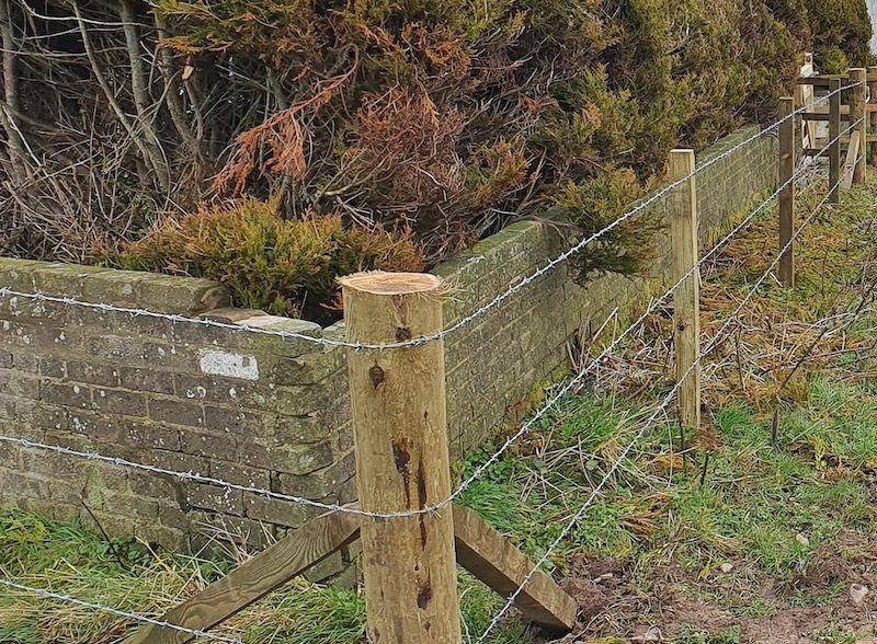 Agricultural Fencing Services Dumfries & Galloway