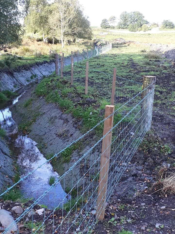 Agricultural Fencing supplied and installed by J.A. Halkett & Son
