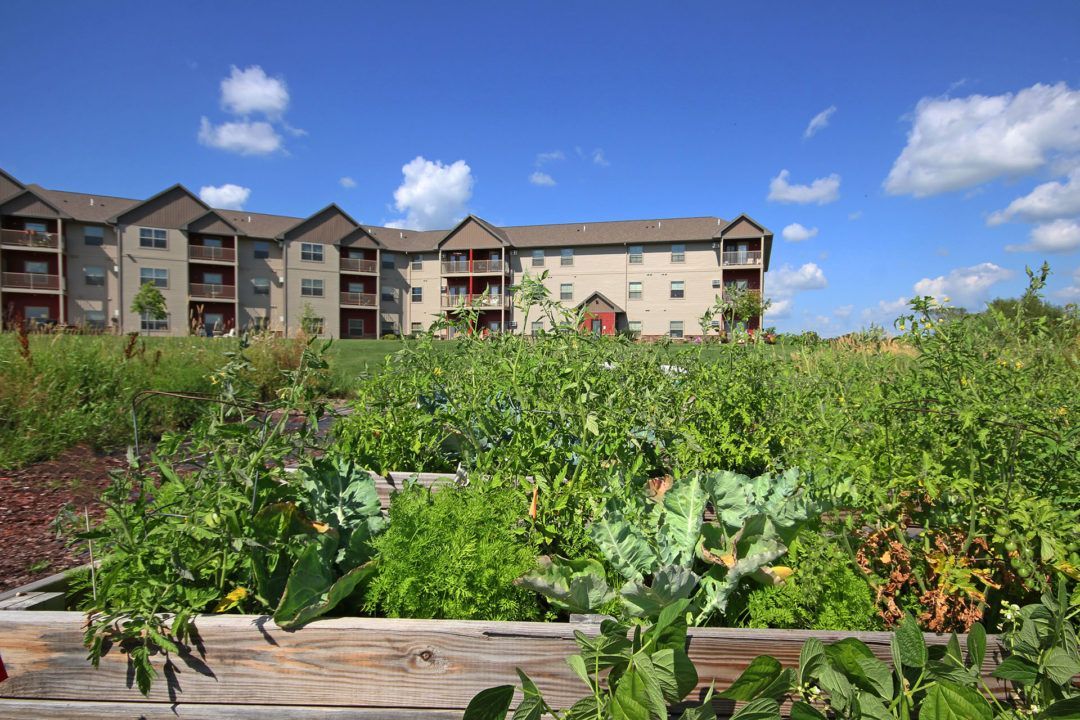 Community garden with raised beds in front of an apartment building under a blue sky.