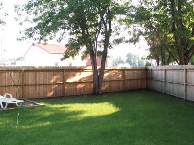 Grassy backyard with wooden fence, tree in center, and sunlight dappling the lawn.