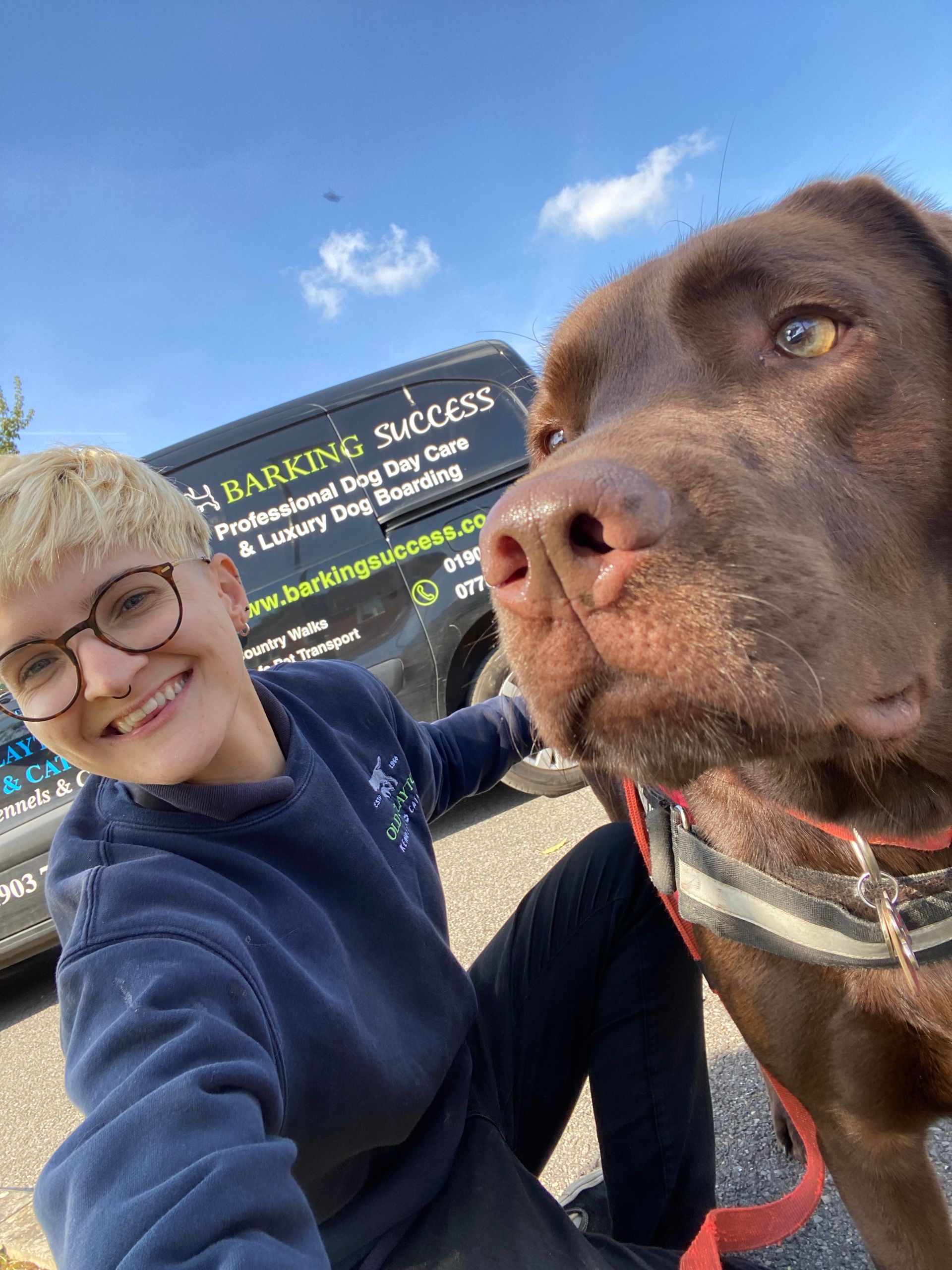 doggy day care dogs west sussex