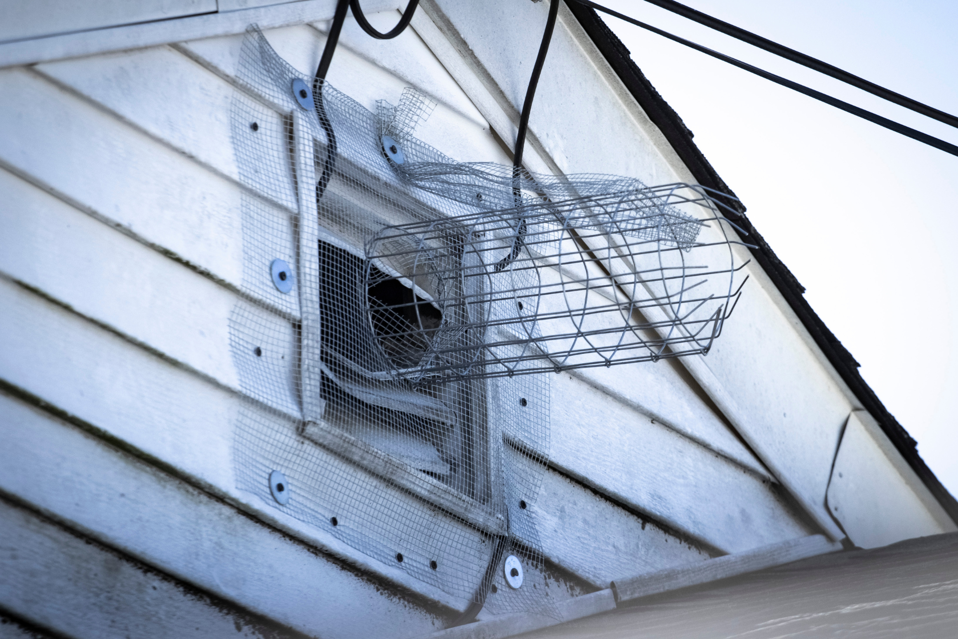 animal-trap