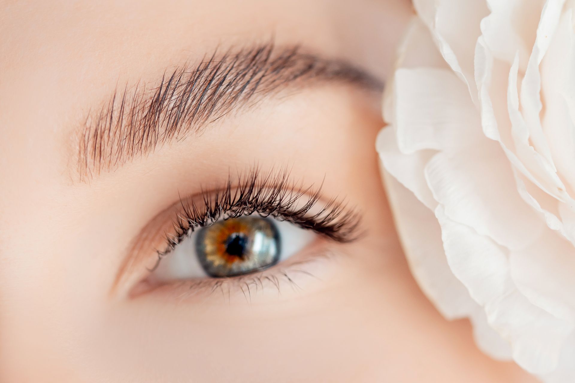 CLASSIC LASHES