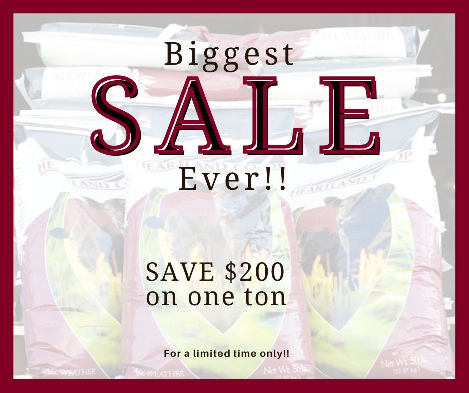 Advertisement for mineral sale