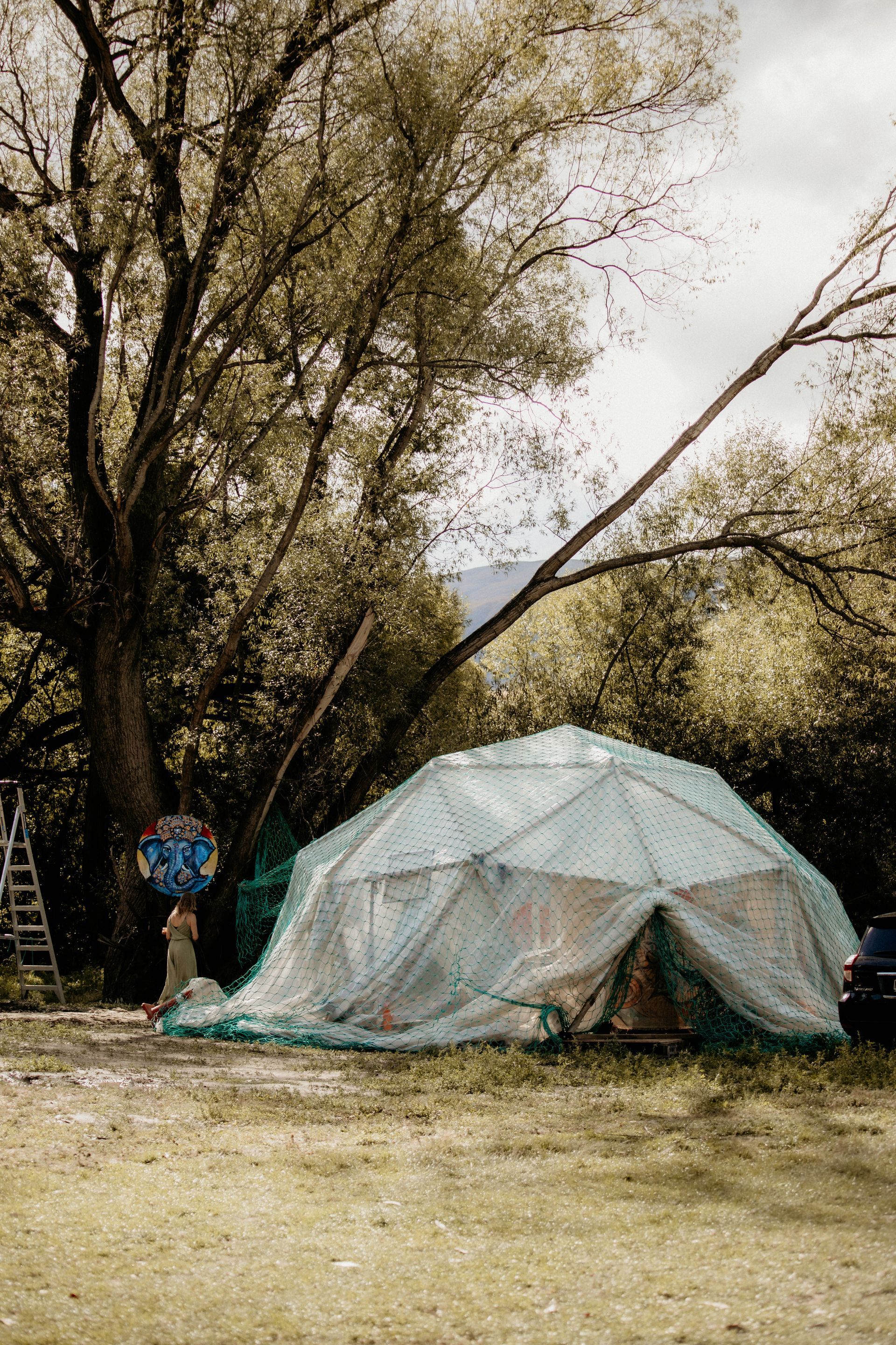 Dome-shaped tent covered in netting sits on a grassy area, with a tall tree and cloudy sky in the background.