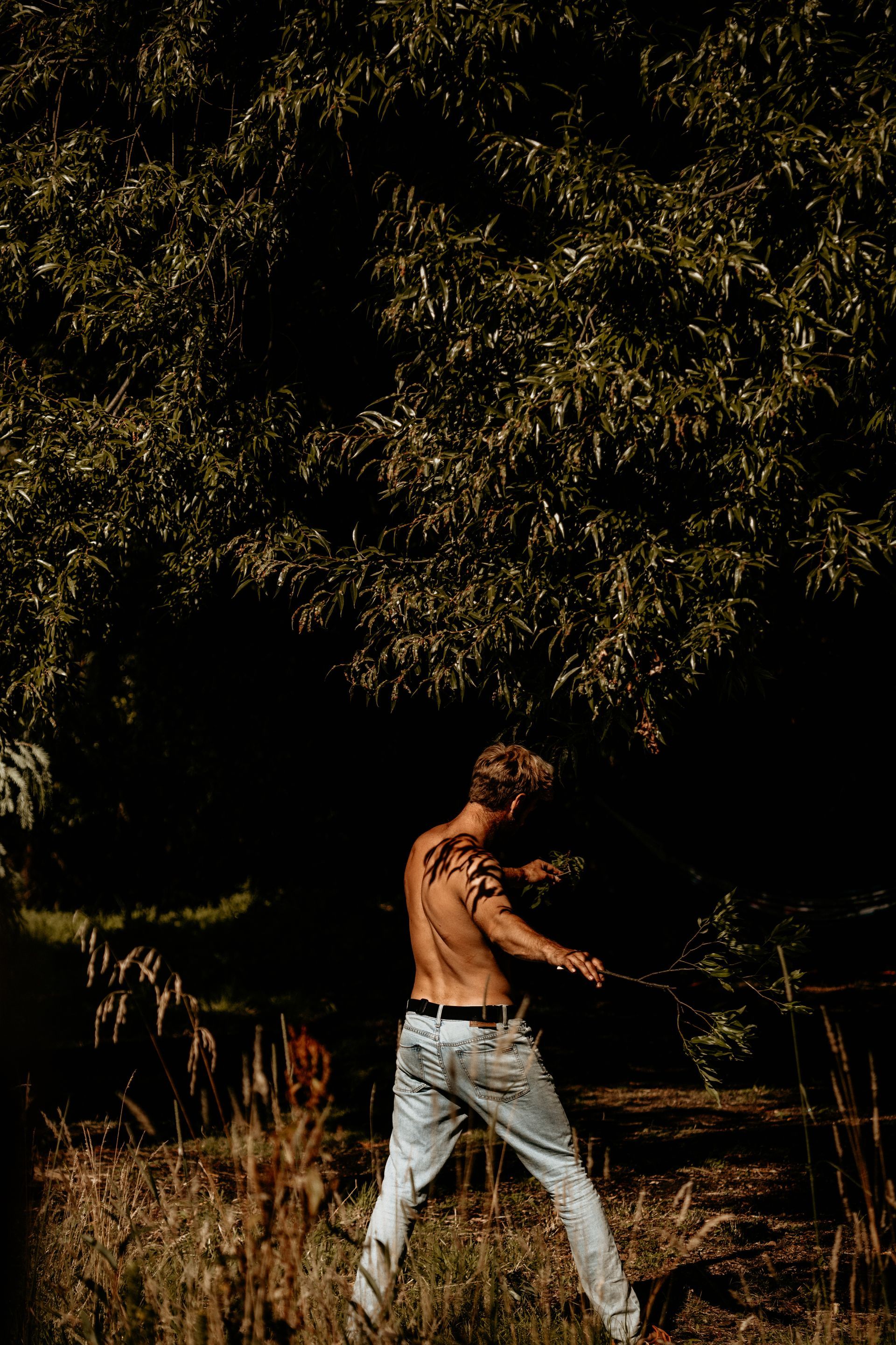 Man with a back tattoo, holding branches, standing in front of a tree.