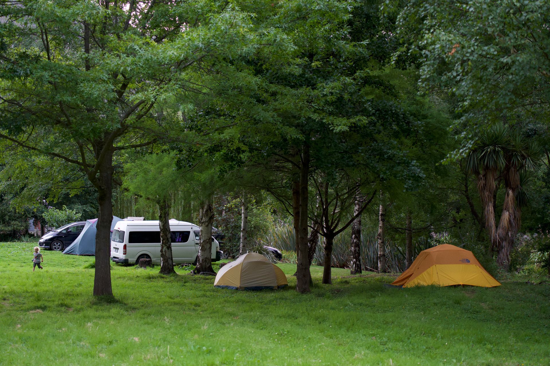 Camping scene with tents, a camper van, and trees in a grassy area.