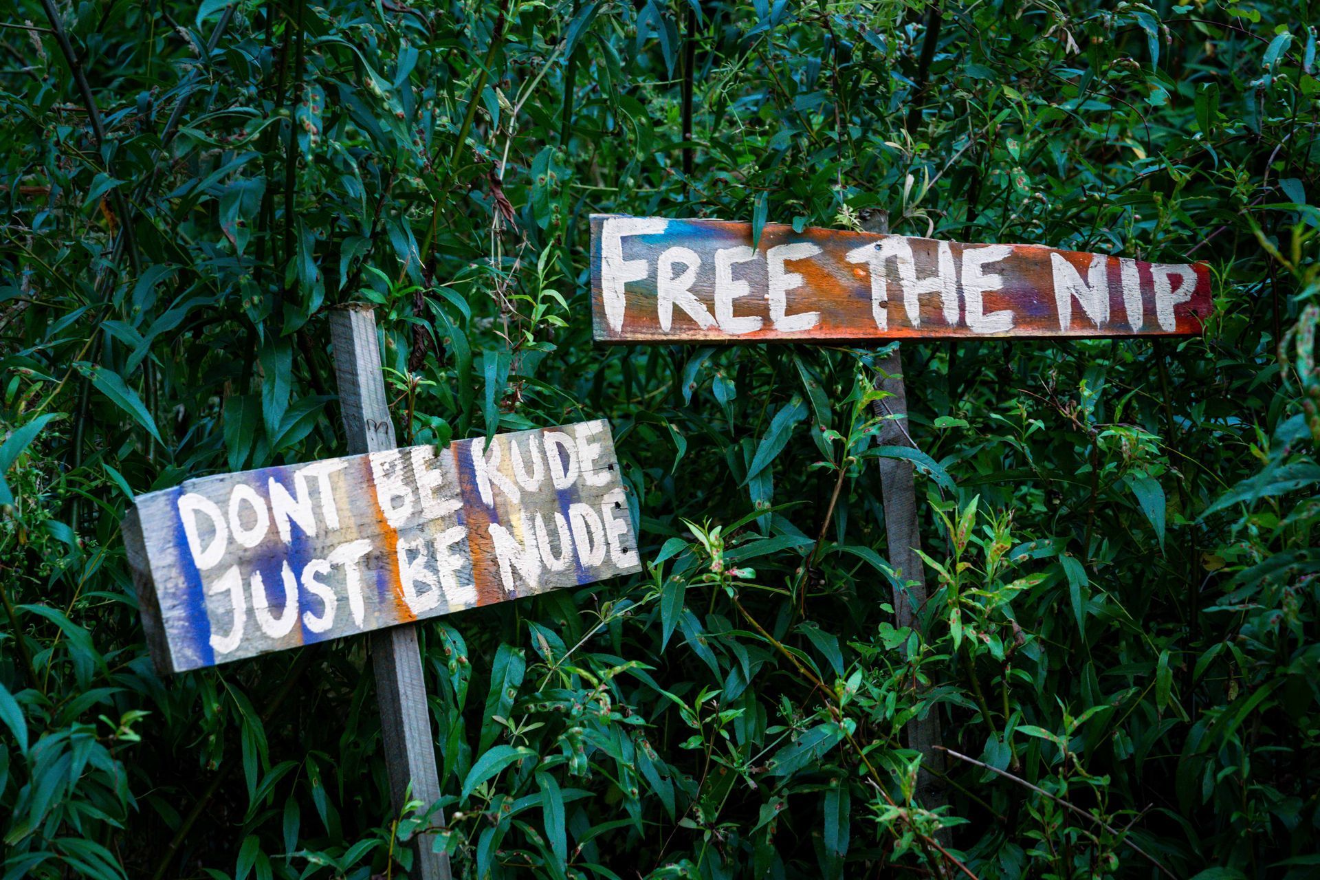 Two weathered signs in a lush green setting: 