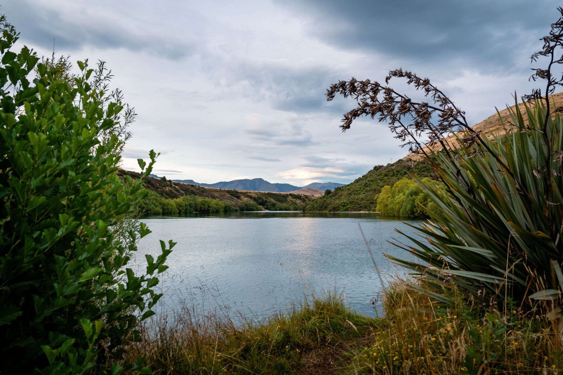 Lake scene with cloudy sky and foliage in the foreground. Rolling hills in the background.