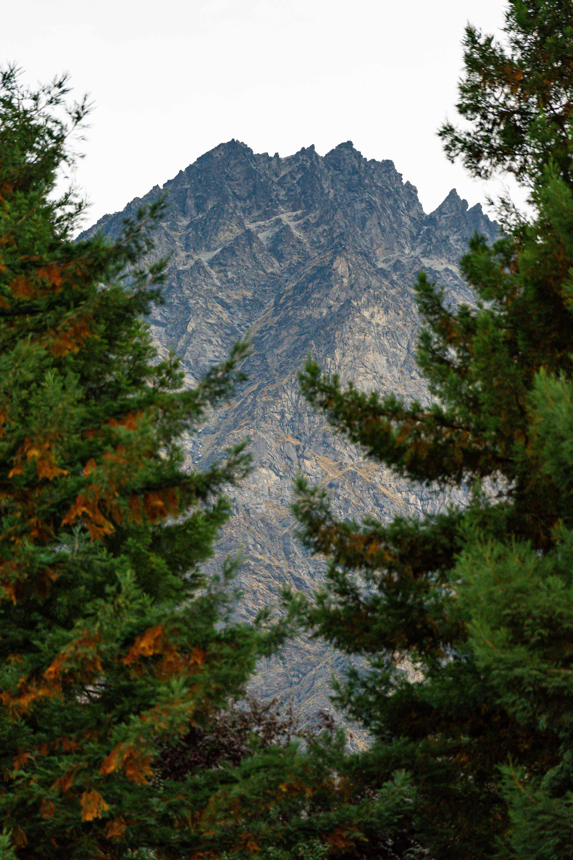 Rugged mountain peak framed by dark green pine trees.