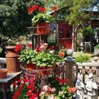 Colorful garden display with red flowers, potted plants, and a red birdhouse by a white fence