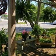 Shaded porch with potted flowers and a wooden bench overlooking a sunny street