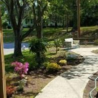 Curved garden path beside trees, shrubs, and a bench on a sunny day