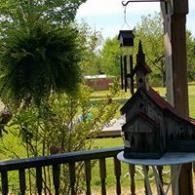 Two small birdhouses on a balcony railing, with a hanging plant and green yard in the background.
