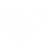 White background.