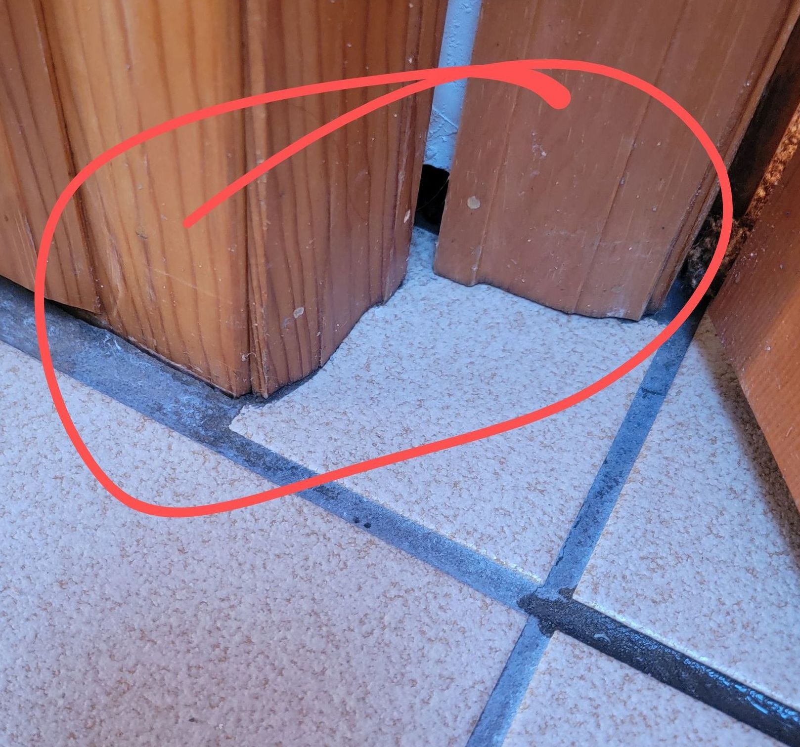 A wooden door with a red circle around it