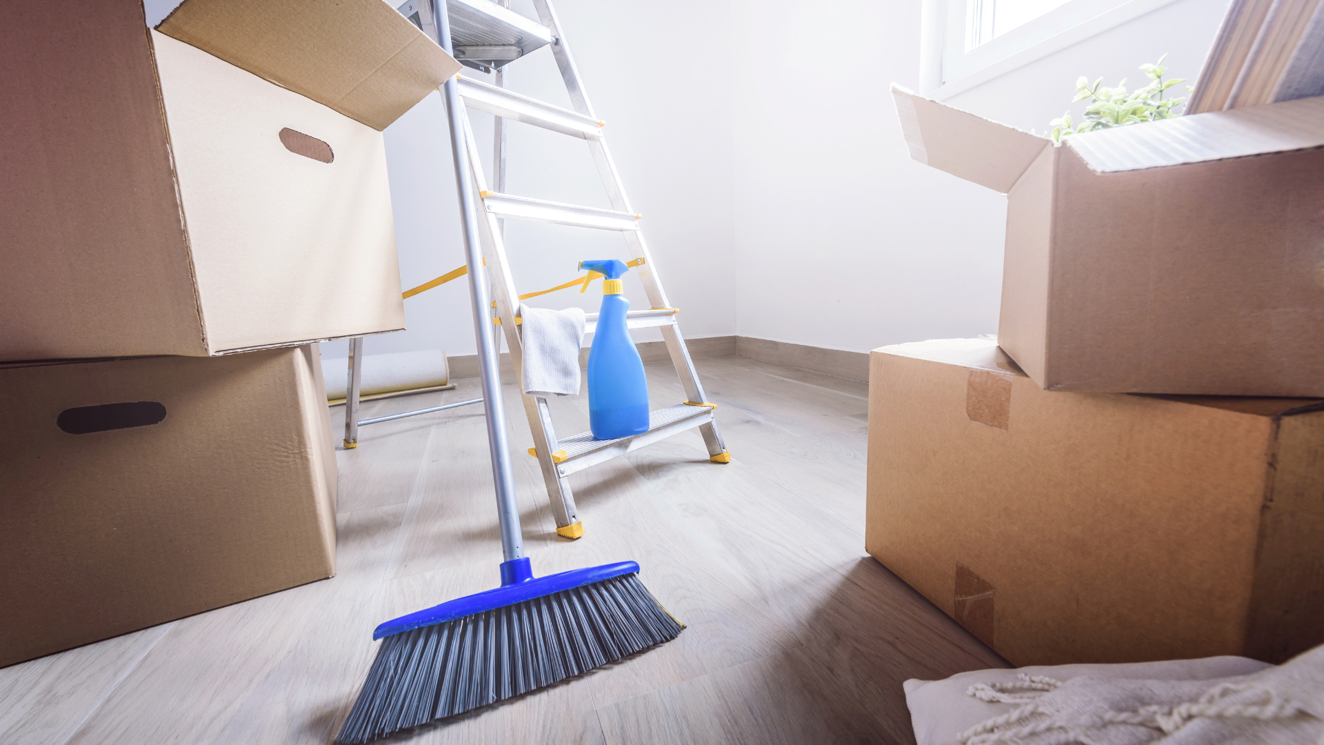 A room filled with boxes , a broom , a spray bottle and a ladder.
