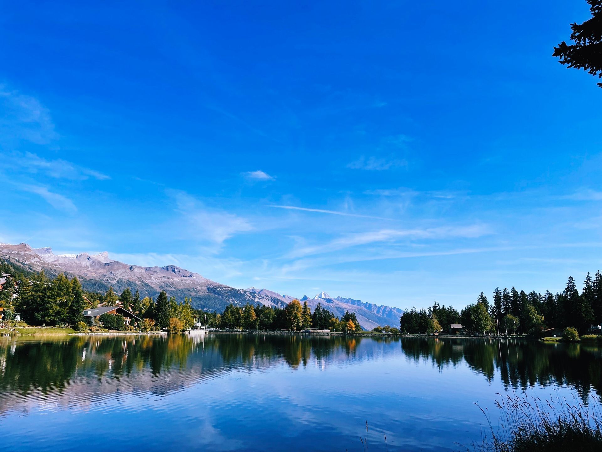A serene mountain lake reflects a clear blue sky and distant snow-capped peaks above a tree-lined shore.
