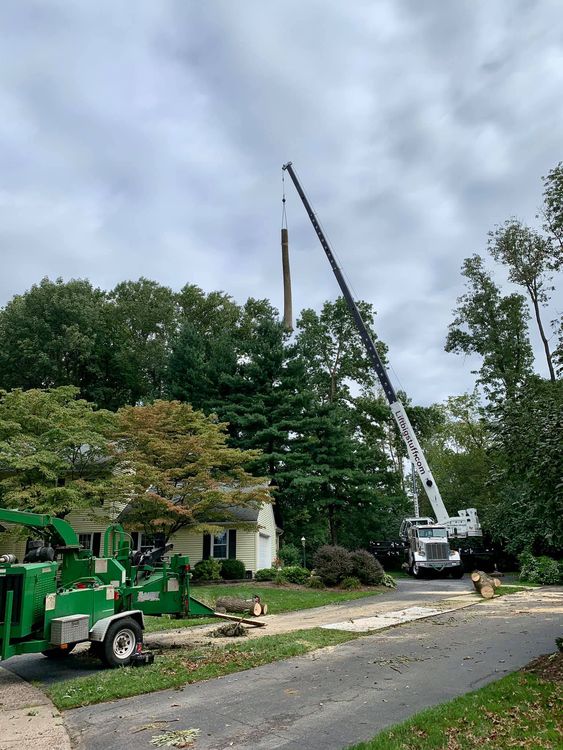 Yellow Crane — Chalfont, PA — Lift Tech Crane and Rigging Yellow Crane — Chalfont, PA — Lift Tech Crane and Rigging