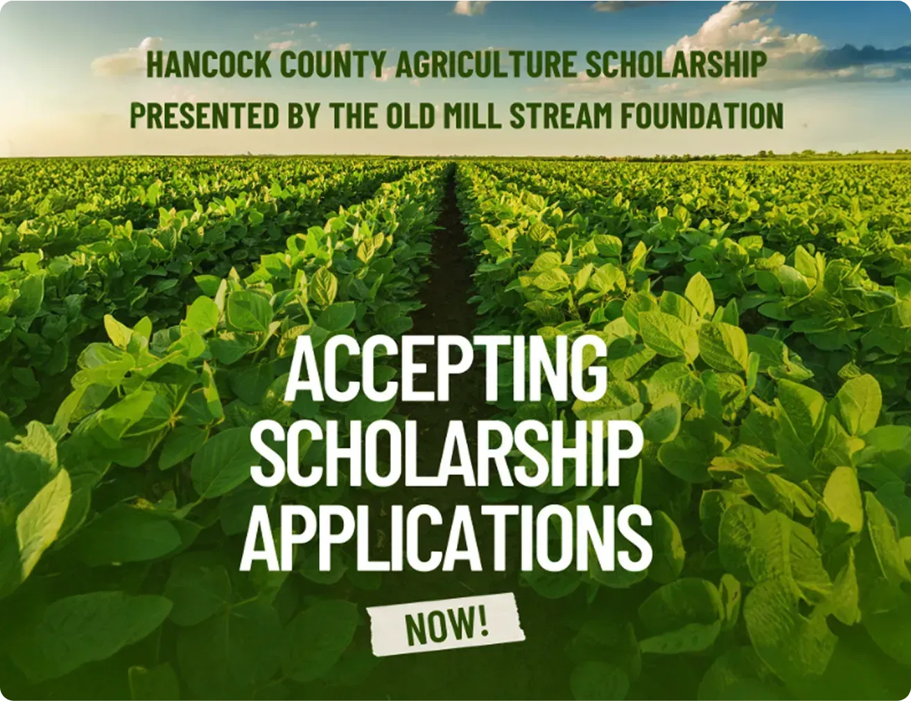 Hancock County agriculture scholarship banner over green crops, announcing applications now open.