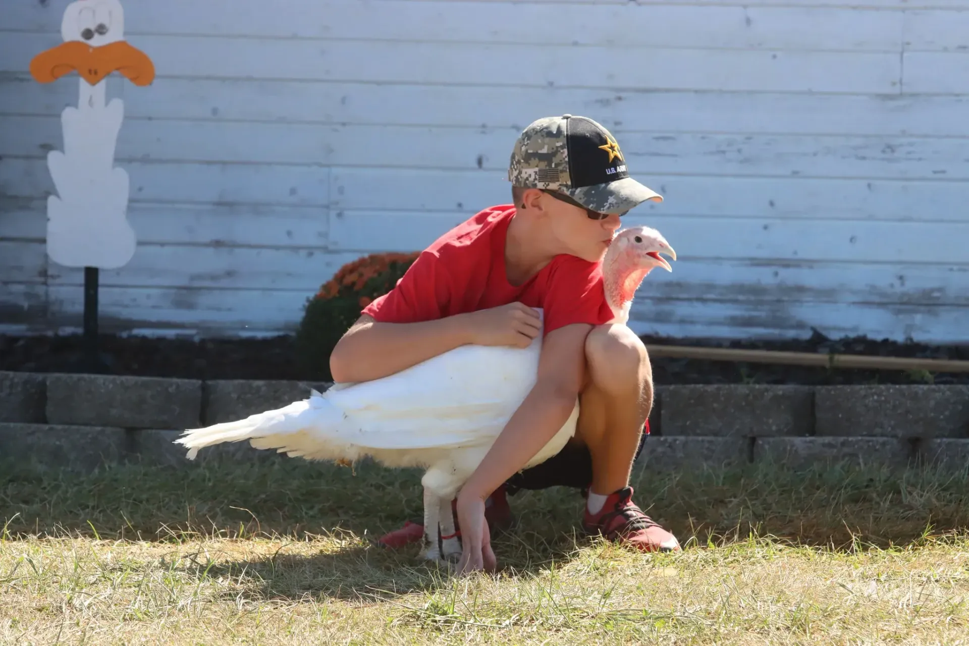 Child crouching with a white goose in a sunny yard, against a blue wall.
