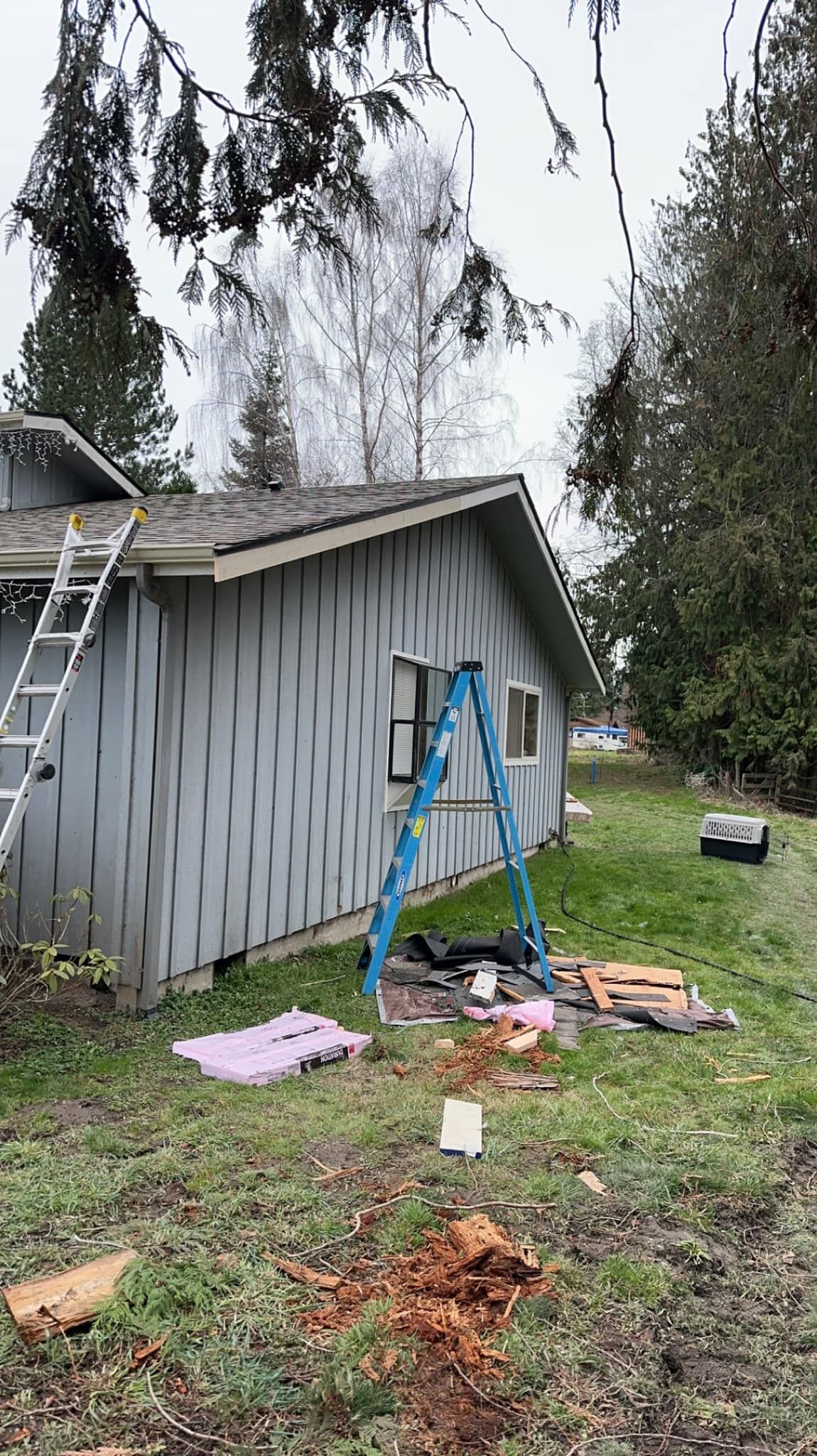 Exterior of a light blue house, ladder, and a blue ladder in the yard, tools, cloudy day.