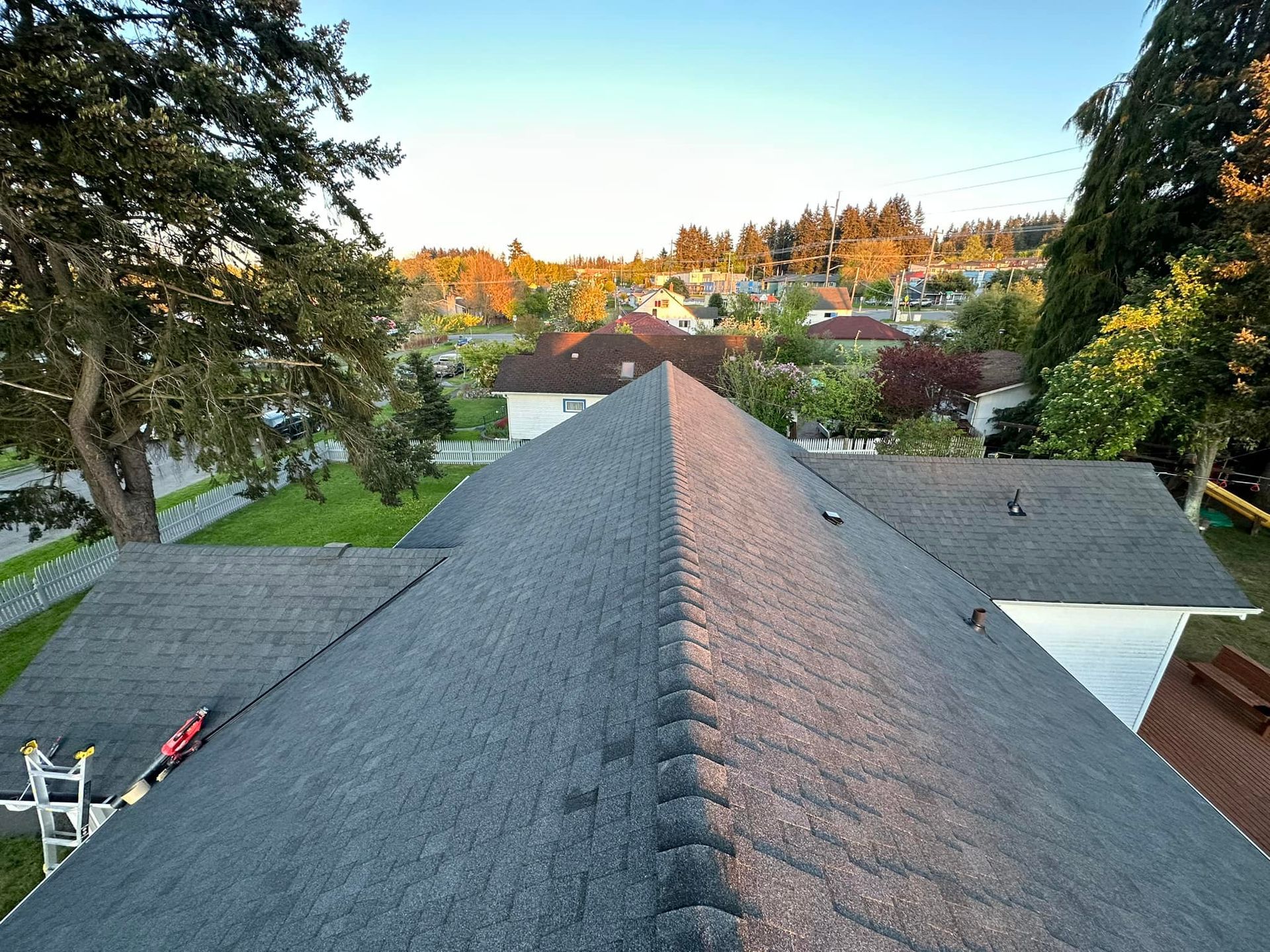 Dark shingle roof, view of neighborhood with houses and trees. Evening sunlight.